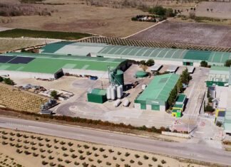 Sustainability, a commitment for Symaga Group