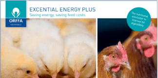 Emulsifier Academy – Orffa launches a global initiative to support awareness on applications of nutritional emulsifiers in animal feed