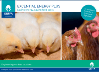 Emulsifier Academy – Orffa launches a global initiative to support awareness on applications of nutritional emulsifiers in animal feed