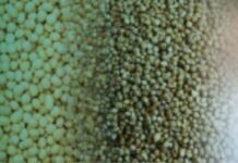 Mycotoxin Prevalence in India