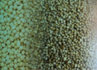 Mycotoxin Prevalence in India