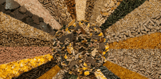 Outlook of Traditional and Alternative Feed Raw Material