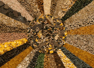 Outlook of Traditional and Alternative Feed Raw Material