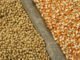 Brazil removes import tariffs on maize and soybeans