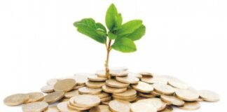 Company using unconventional ingredients for Animal nutrition raises seed funding from Rajasthan Venture Capital Fund