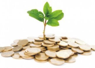 Company using unconventional ingredients for Animal nutrition raises seed funding from Rajasthan Venture Capital Fund