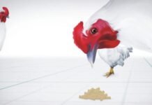 Role of Probiotics for Gut Health Management in Poultry