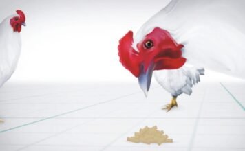 Role of Probiotics for Gut Health Management in Poultry