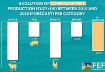 A decline in EU feed output for 2020 – FEFAC forecast
