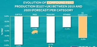 A decline in EU feed output for 2020 – FEFAC forecast