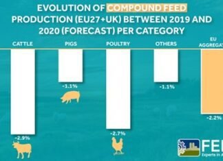 A decline in EU feed output for 2020 – FEFAC forecast