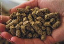 Moisture control to produce safe feed