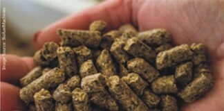 Moisture control to produce safe feed