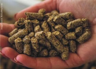 Moisture control to produce safe feed