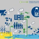 Expert views on Antimicrobial Resistance (AMR)