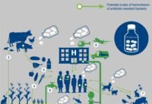 Expert views on Antimicrobial Resistance (AMR)