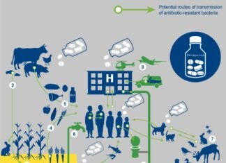 Expert views on Antimicrobial Resistance (AMR)