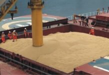 Indian soymeal demand in international market