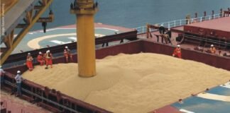 Indian soymeal demand in international market