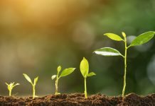 1% growth in global feed production in 2020