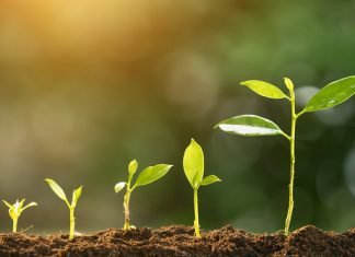 1% growth in global feed production in 2020