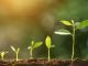 1% growth in global feed production in 2020