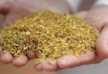 Meat & Bone Meal – An alternative feed ingredient