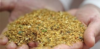 Meat & Bone Meal – An alternative feed ingredient