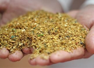 Meat & Bone Meal – An alternative feed ingredient