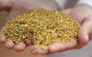 Meat & Bone Meal – An alternative feed ingredient