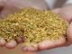 Meat & Bone Meal – An alternative feed ingredient