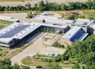 Another collaboration of Novus to become a leader in gut health solutions