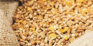 Pushing the envelope with Phytase – Potentiated Phytase