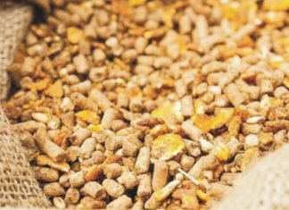 Pushing the envelope with Phytase – Potentiated Phytase