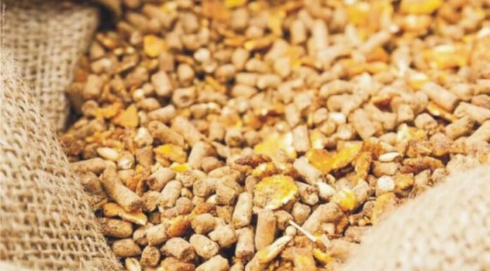 Pushing the envelope with Phytase – Potentiated Phytase