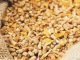 Pushing the envelope with Phytase – Potentiated Phytase