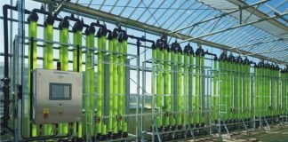New Study Shows How Microalgae Could be Crucial to Circular Economy