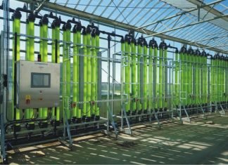 New Study Shows How Microalgae Could be Crucial to Circular Economy