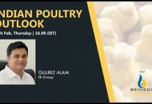 Indian Poultry Outlook