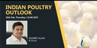 Indian Poultry Outlook