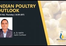 Scope of Country Birds in India