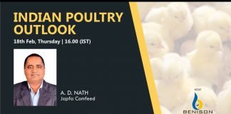 Scope of Country Birds in India