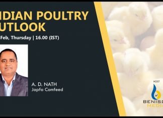 Scope of Country Birds in India