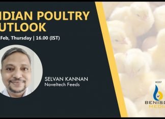 Impact of feed ingredient exports on Indian feed industry