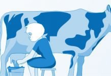 Government to launch new scheme to promote entrepreneurship in the Animal Husbandry Sector Animal_Husbandry_Sector