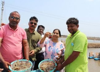A farmer perspective for doubling aqua farmers’ income Manoj_Sharma_Shrimp_Farmer