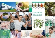 The Delacon team fosters health and resilience in animals – and at work csm_Delacon_s_team_is_unlocking_the_plant_universe_for_better_lives__c__Delacon_small_f70430450e