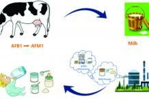 Aflatoxin M1 in Milk and milk products and their Impact on Human Health Aflatoxin_M1_in_Milk