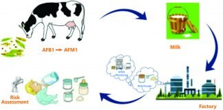 Aflatoxin M1 in Milk and milk products and their Impact on Human Health Aflatoxin_M1_in_Milk