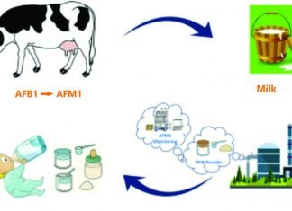 Aflatoxin M1 in Milk and milk products and their Impact on Human Health Aflatoxin_M1_in_Milk